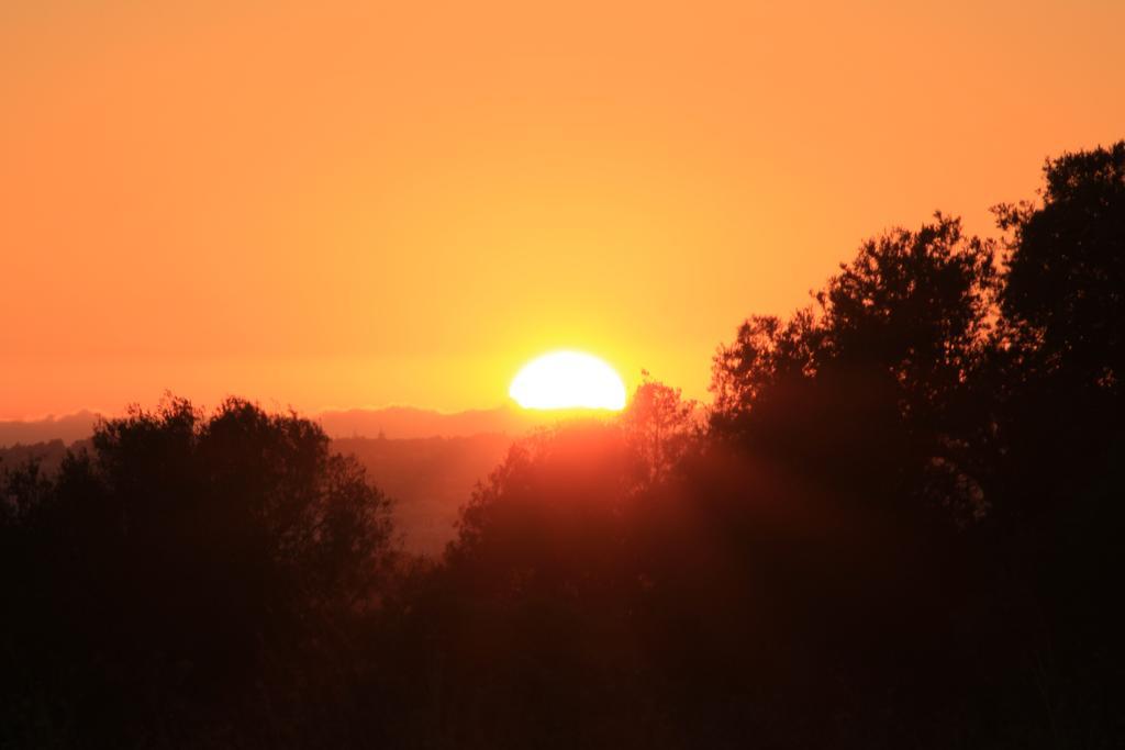 Hotel Sunshine Albufeira Esterno foto