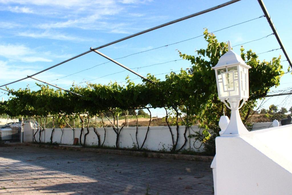 Hotel Sunshine Albufeira Esterno foto